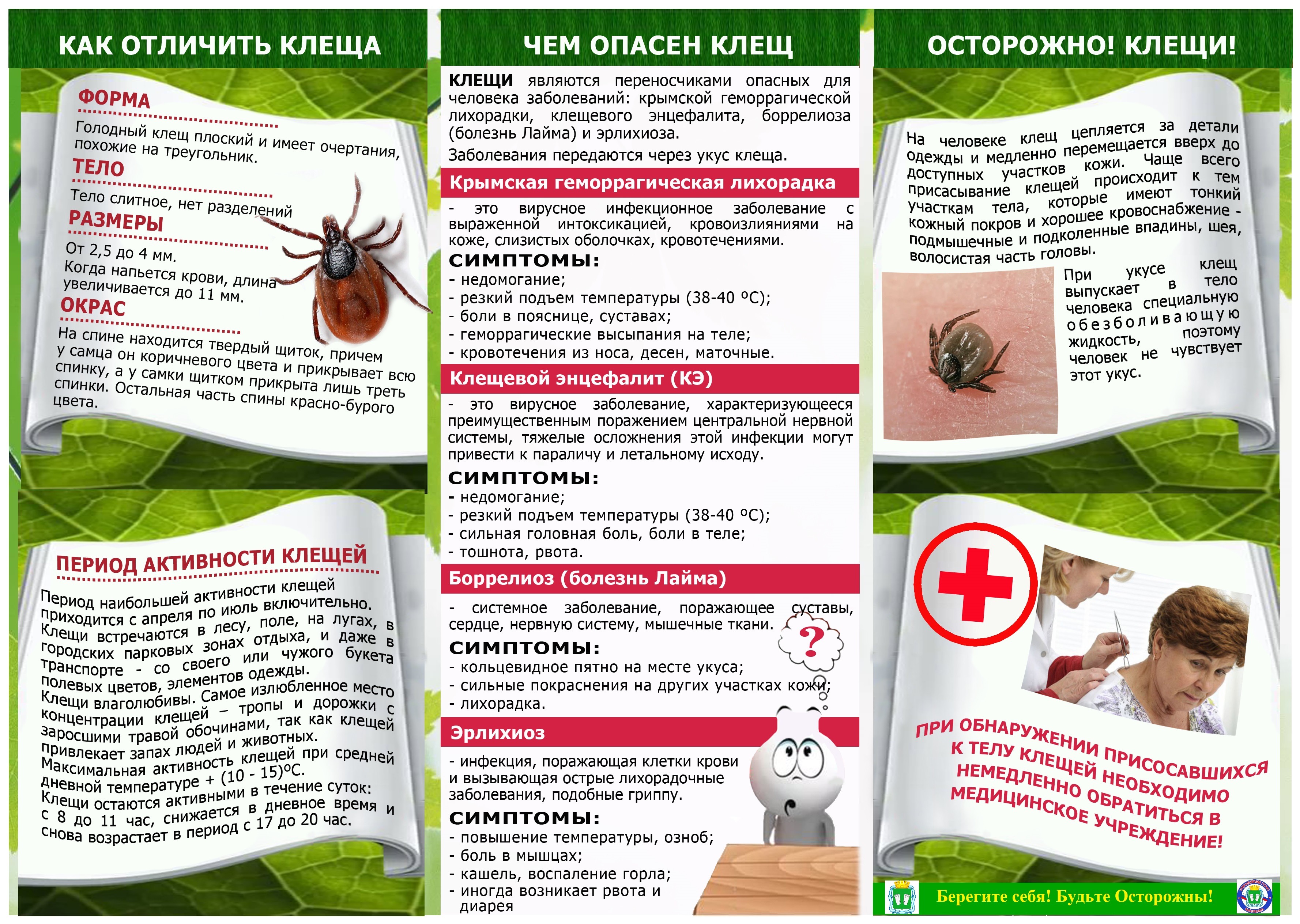 Осторожно, клещи!!!.