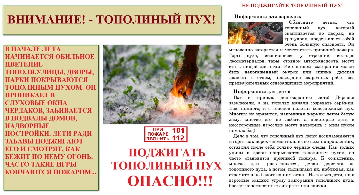 Внимание! - Тополиный пух!!!.